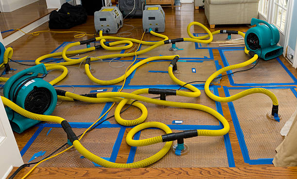 Professional Structural Drying And Dehumidification technician working in White Cottage, OH